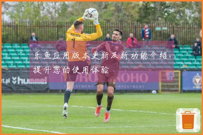 乐鱼应用版本更新及新功能介绍，提升您的使用体验