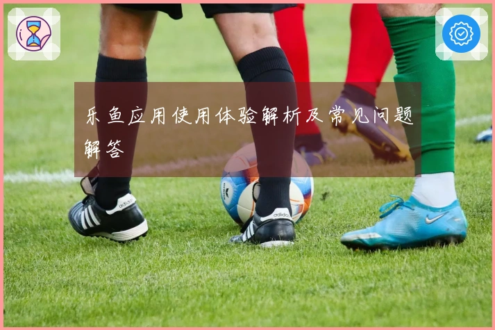 乐鱼应用使用体验解析及常见问题解答