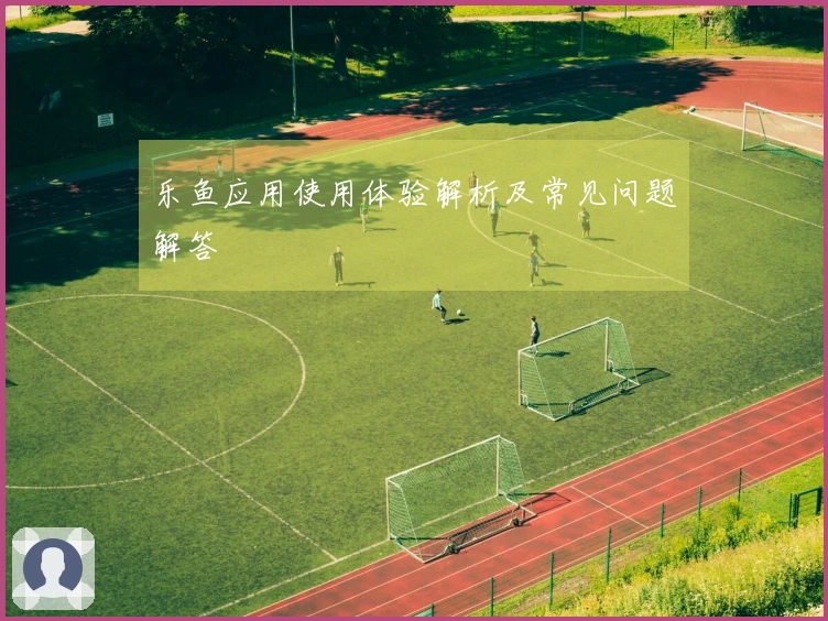 乐鱼应用使用体验解析及常见问题解答