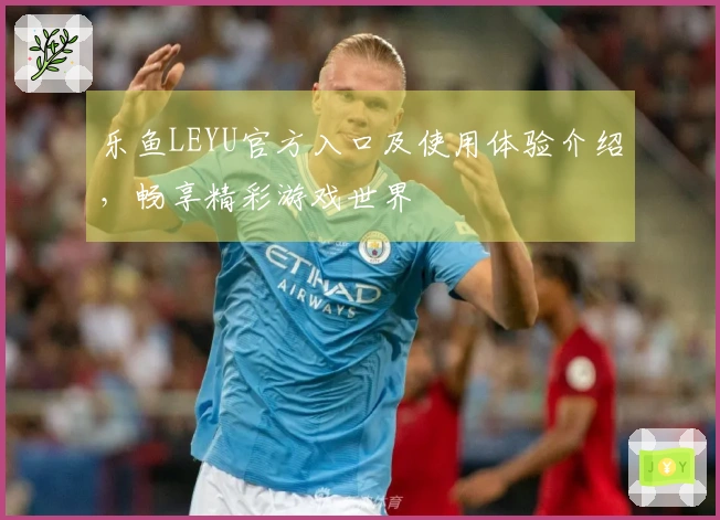 乐鱼LEYU官方入口及使用体验介绍,畅享精彩游戏世界